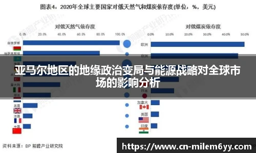 亚马尔地区的地缘政治变局与能源战略对全球市场的影响分析